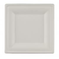 Bagasse compostable square plate 6 15cm